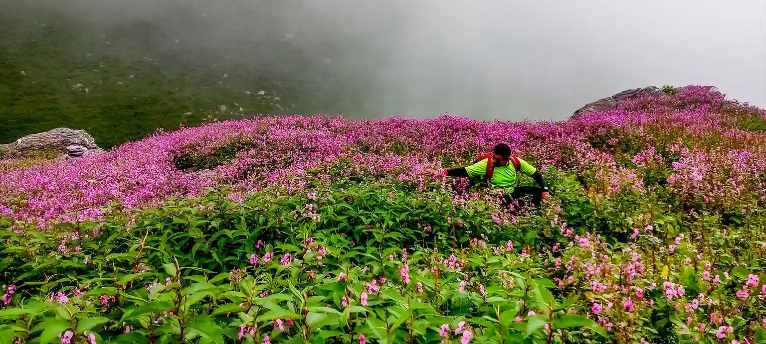 Hampta Pass Trek